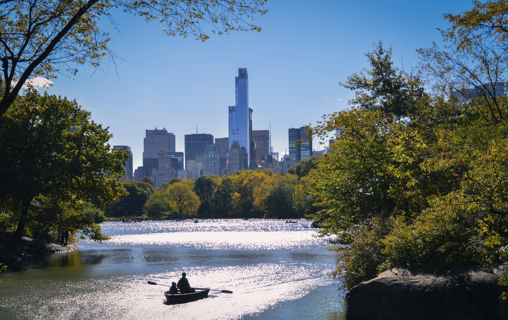 Couple rowing in a row boat through Central Park in New York