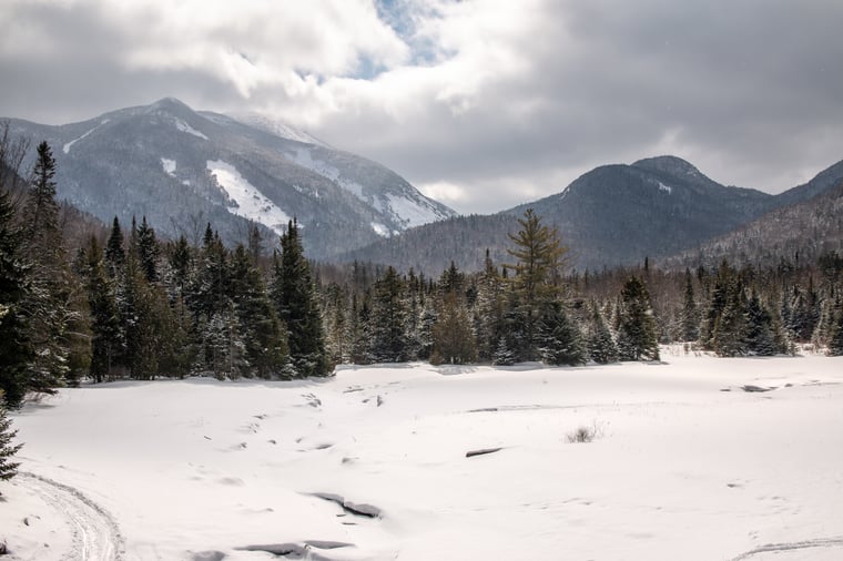 Snow on ground and pine trees in foreground of Adirondack Mountains