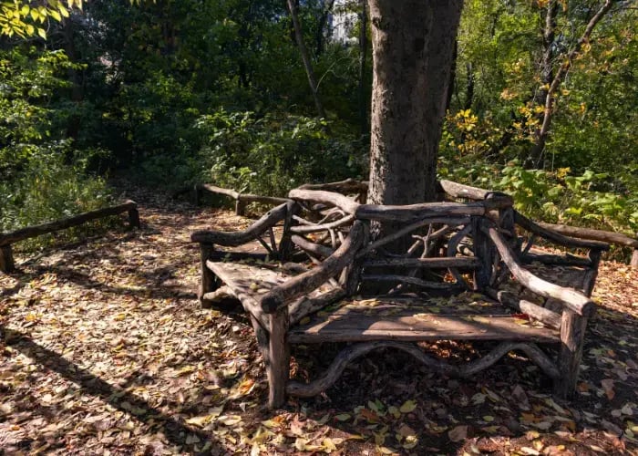 Empty Wood Benches with Colorful Fallen Leaves at the Hallett Nature Sanctuary in Central Park during Autumn in New York City