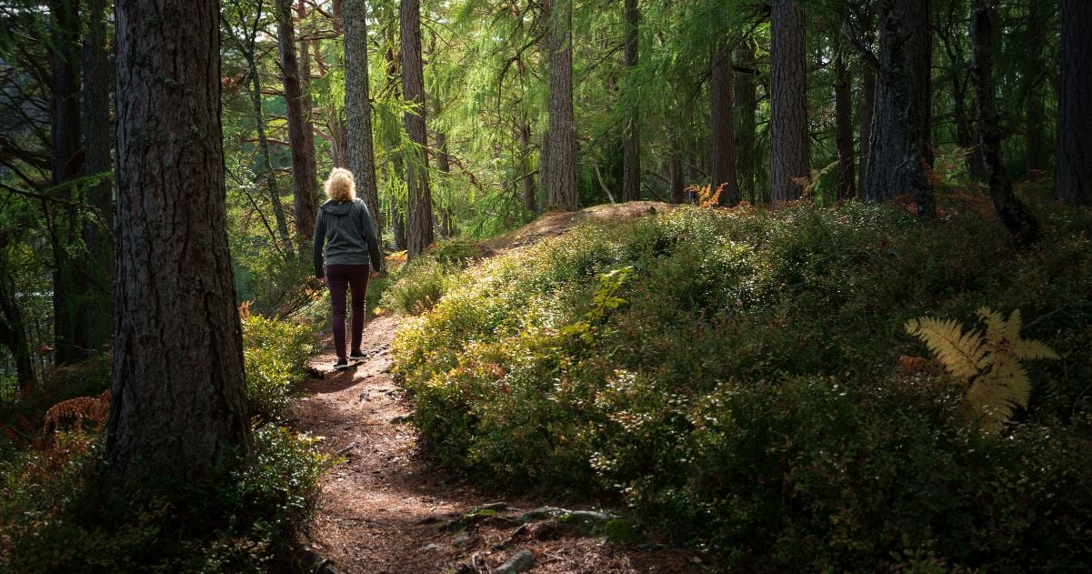woman walking along a wooded path taking in her surroundings