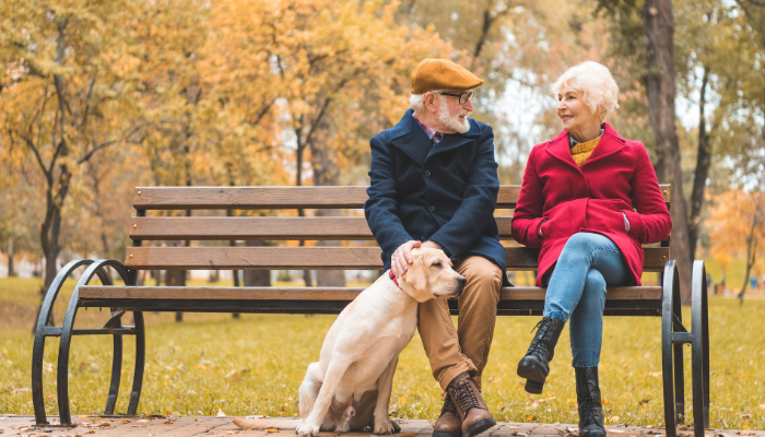 Happy senior couple sitting on a bench in the park surrounded by trees covered in autumn leaves with their companion dog.