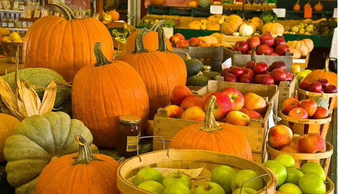 Market with pumpkins and apples