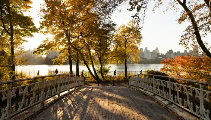 Central Park Autumn Scenery