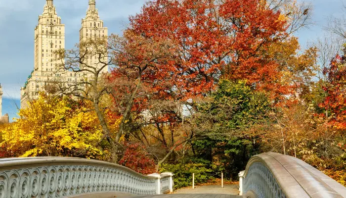 Fall view from central park facing upper west side New York