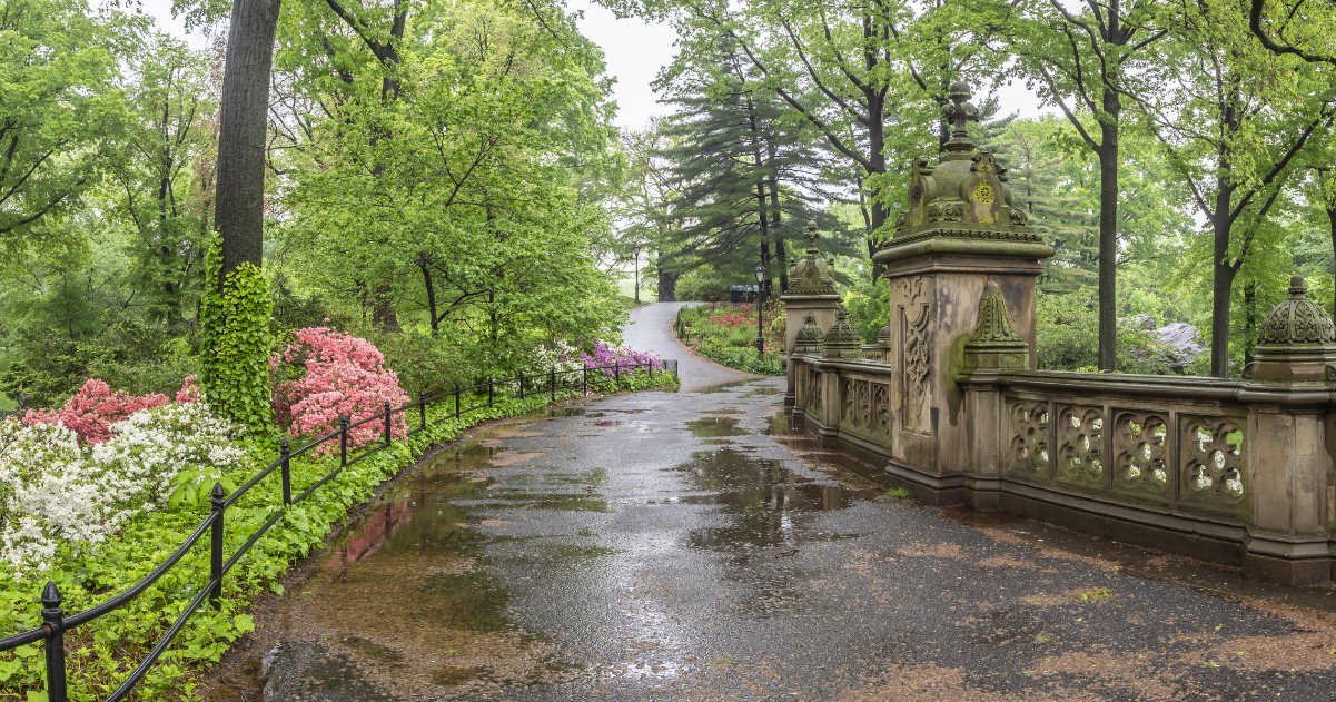 Outdoor scenery of Central Park in the spring.