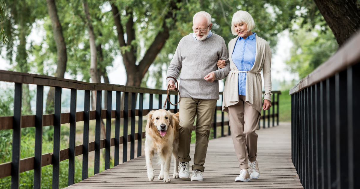 Senior couple going on a walk with their dog.